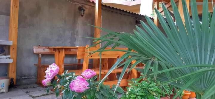 Family Hotel Bohemi II Primorsko Ngoại thất bức ảnh