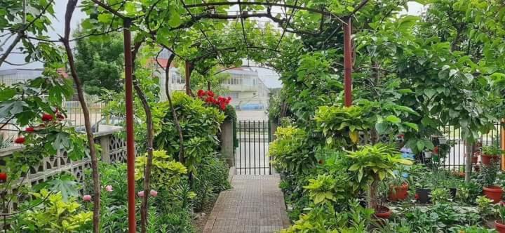 Family Hotel Bohemi II Primorsko Ngoại thất bức ảnh