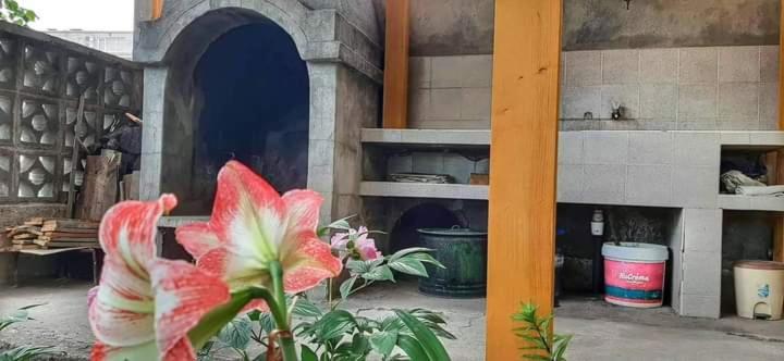 Family Hotel Bohemi II Primorsko Ngoại thất bức ảnh